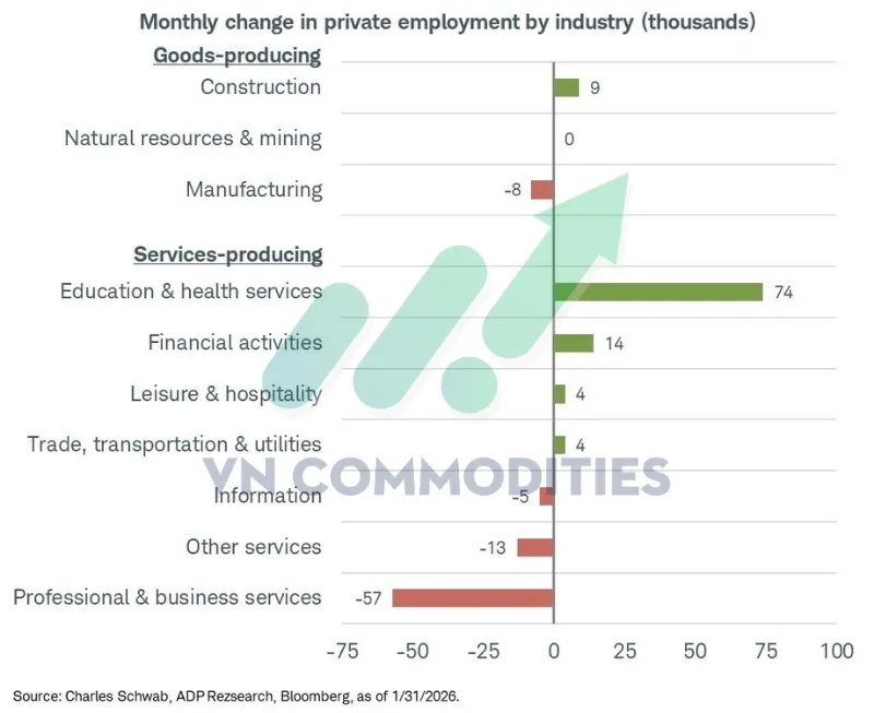 thị trường vĩ m&ocirc;